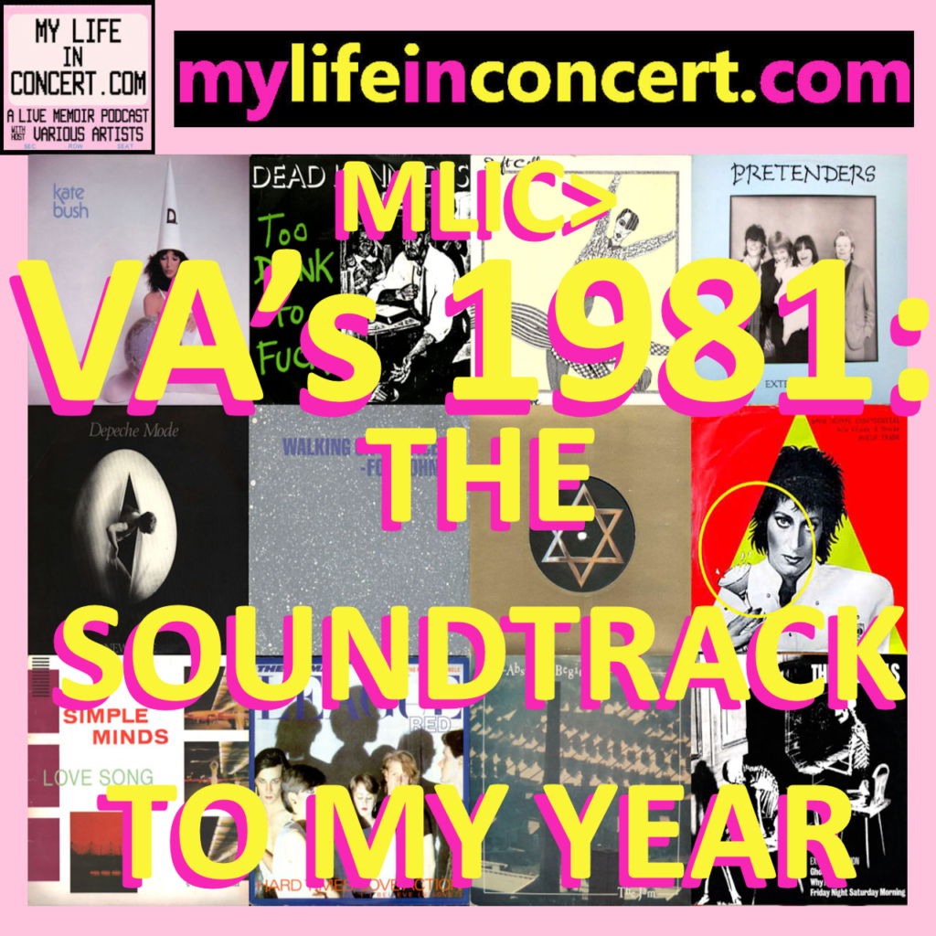 VA's 1981 The Soundtrack To My Year Spotify Playlist mylifeinconcert.com