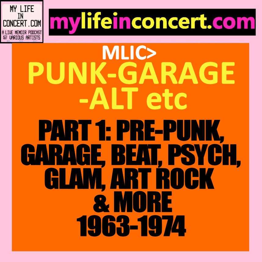 MLIC>PUNK-GARAGE-ALT etc PART 1: PRE-PUNK, GARAGE, BEAT, PSYCH, GLAM, ART ROCK & MORE 1963-1974